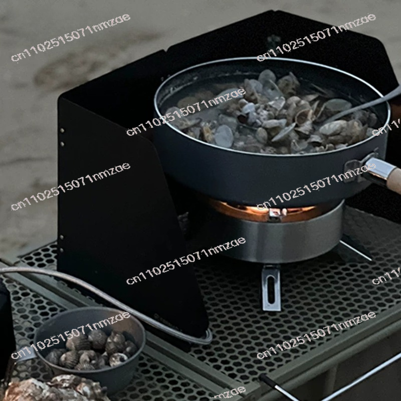 Fogão a Gás Portátil de Múltip - Outdoor Camping Gas Stove avaliação e preço