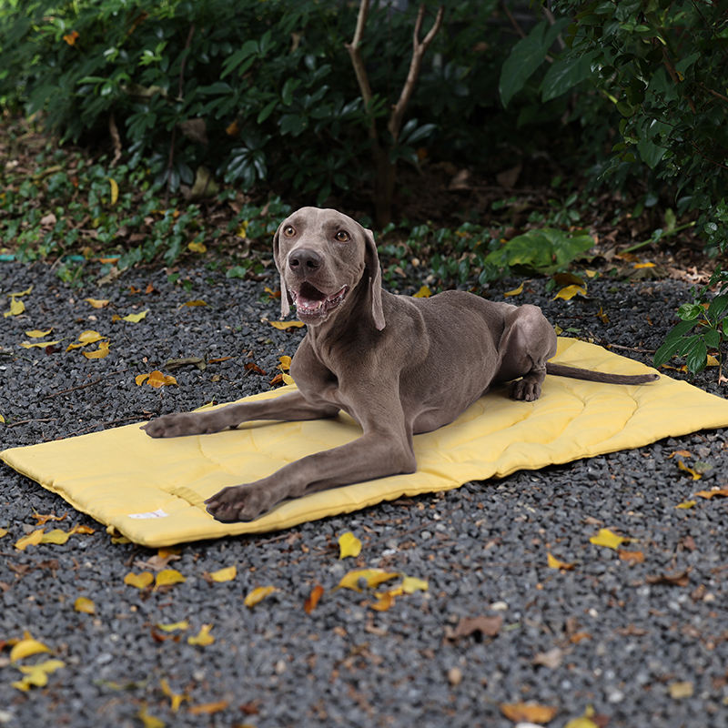 Portátil dobrável Pet Mat com  - Outdoor Camping Dog Fence avaliação e preço