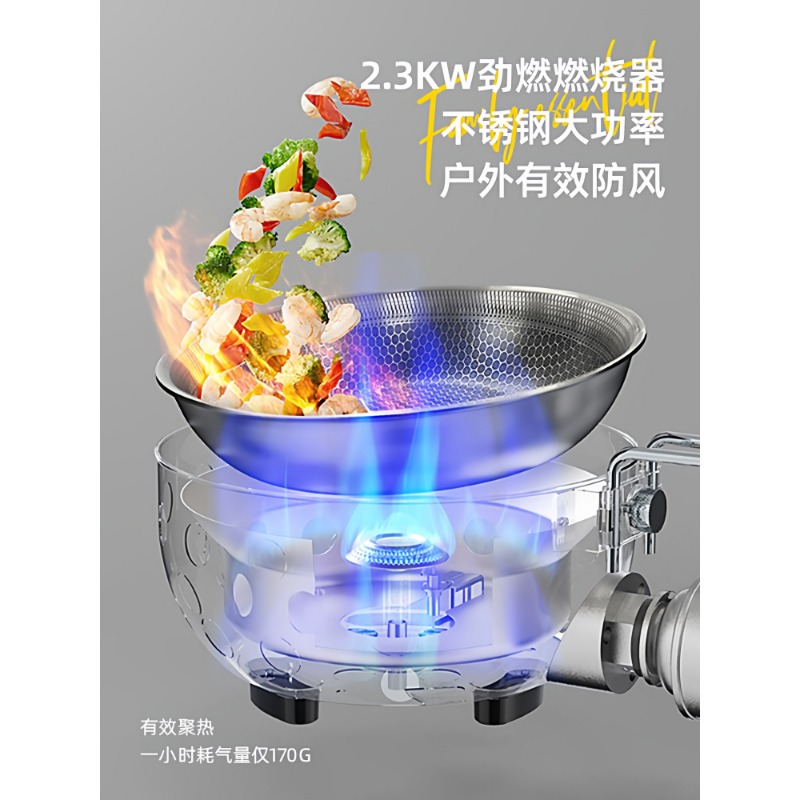 Fogão Portátil a Gás com Panel - Outdoor Camping Gas Stove avaliação e preço